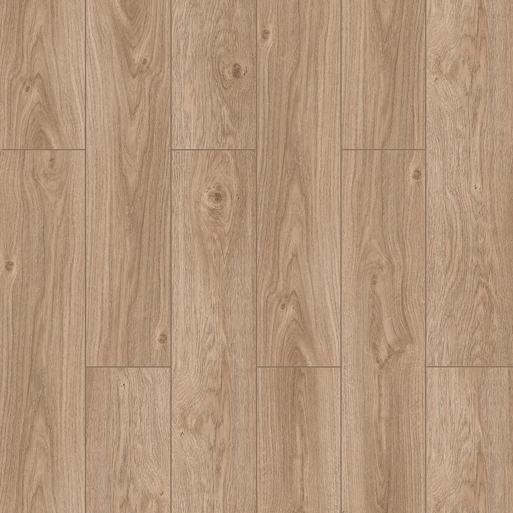 SE010.jpg
