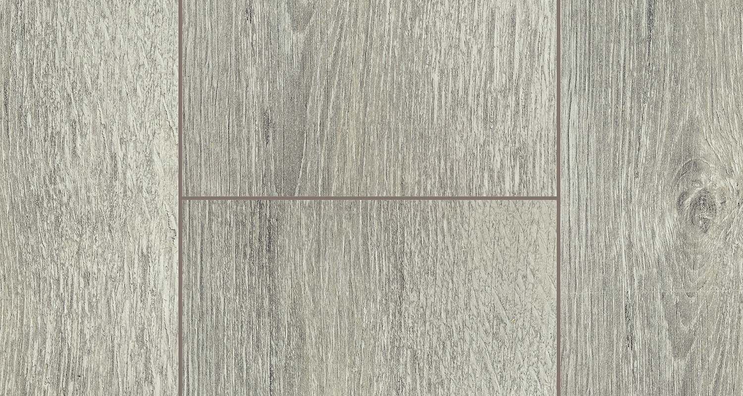 Дуб Палермо