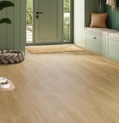  Parchet Laminat